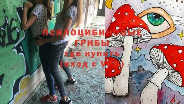 эйфоретик Алексин