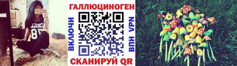 Псилоцибиновые грибы MAGIC MUSHROOMS  ОМГ ОМГ вход  Болхов 